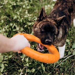 LaRoo Floatable Dog Frisbee, Fetch Toy & Ring Tug Toy - Teething Relief, Catch, Water Fun, Pet Training Outdoor Durable Chew Toys for Small Medium Dogs (Orange)