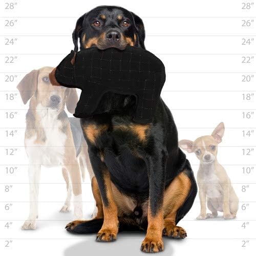 TUFFY - World's Tuffest Soft Dog Toy - Zoo Bear - Squeakers - Multiple Layers. Made Durable, Strong & Tough. Interactive Play (Tug, Toss & Fetch). Machine Washable & Floats. (Regular 2 Pack)