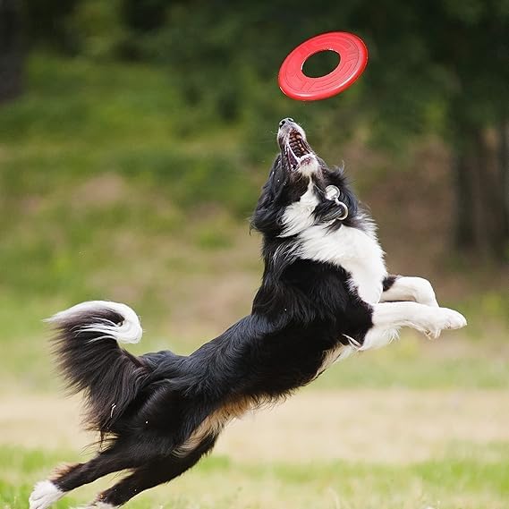 Nerf Dog Atomic Flyer Outdoor Dog Toy, 10 Inch Flying Disc Dog Fetch Toy, Rubber Dog Toy for Medium Dogs and Large Dogs, Red