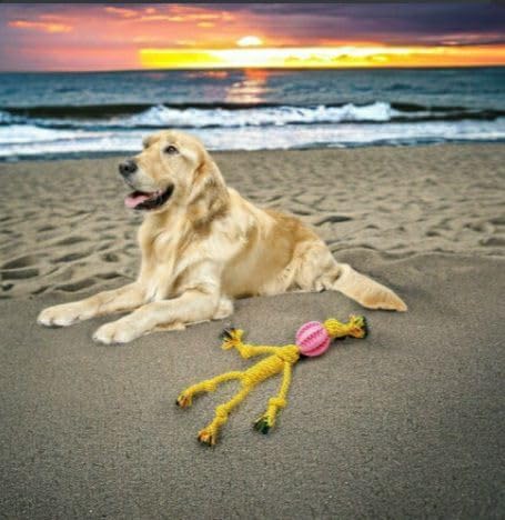 FeFix Dog Toys for Aggressive Chewers Tough Rope Chew Toys for Large and Medium Dog 17.7 inches Cotton Rope for Large Breed Dog Tug of War Dog Toy Teeth Cleaning