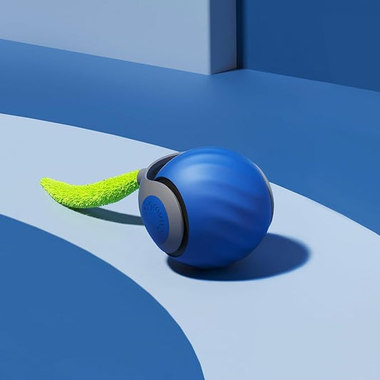 Speedy Sprint Ball Toy for Cat Type-C Rechargeable Interactive Cats Toy Blue