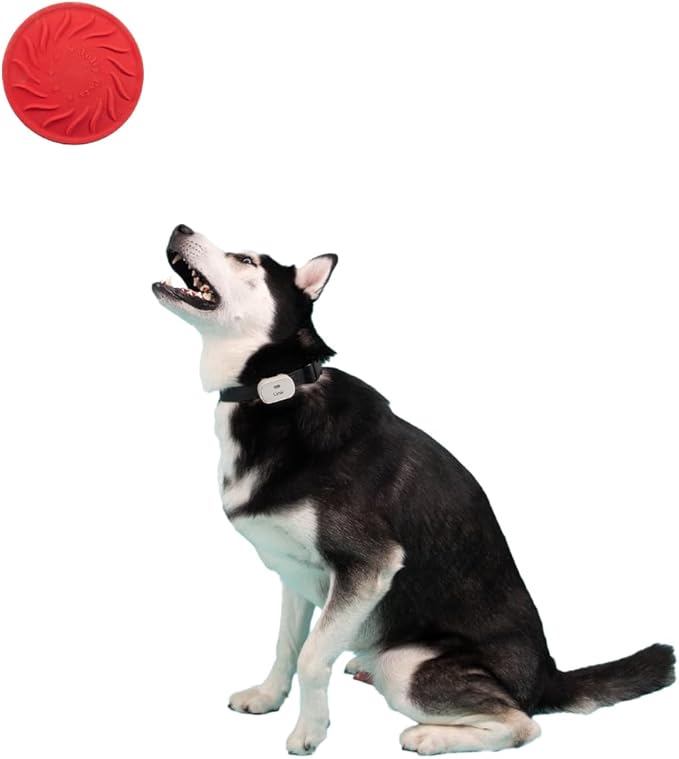 Jolly Pets Tuff Range; Tuff Flyer; 8.5" Flying Disc Dog Chew Toy