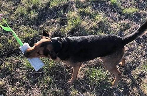 Dingo Woolen 2pack Interactive tug Toys for Dog, Colorful Handle with Bungee Shock Absorber, Natural Soft Toy, for Small Medium and Large Dog’s Breed - tug of war, Agility and Motivation Z30003