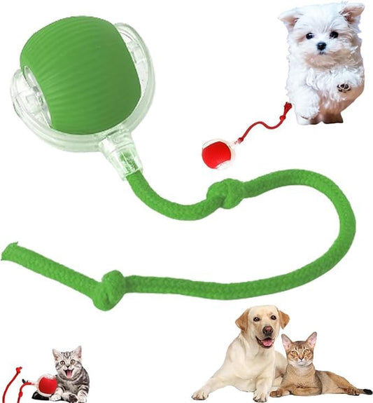 2024 New Electric Dog Ball Toy for Cat,360° Smart Automatic Interactive Rolling Dog Smart Pet Toy Ball,Gift for Kids