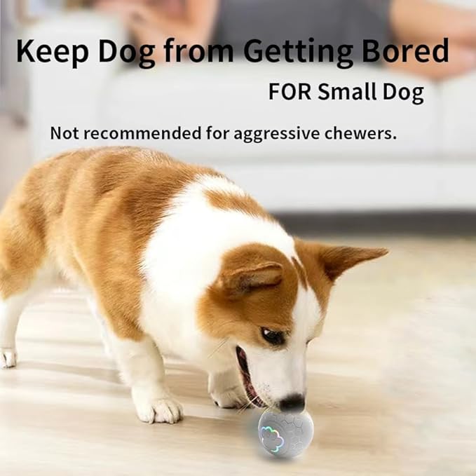 Smart Interactive Dog Toys Ball, Auto Bouncing Rotating Ball, Moving Pet Toys for Small Dogs Under 20 lbs - 2.2 Inch Puppy Toy for Indoor/Outdoor Play, USB Rechargeable, Fun Gift for Boredom, Gray