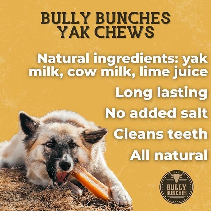 Bully Bunches Premium Fruit-Flavored Himalayan Yak Chew for Dogs - 100g, All-Natural, Long-Lasting, Authentic Yak Milk, Healthy Dental Chew, High-Protein (Medium Blueberry - 3PK, Blueberry)