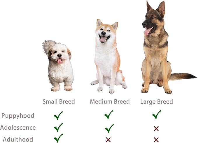 Jalousie Multipack Dog Squeaky Toys Bulk Bundle Pup Toy - Puppy Toys for Pets for Small Medium Breed (12 Pack Rope and Plush Animals)