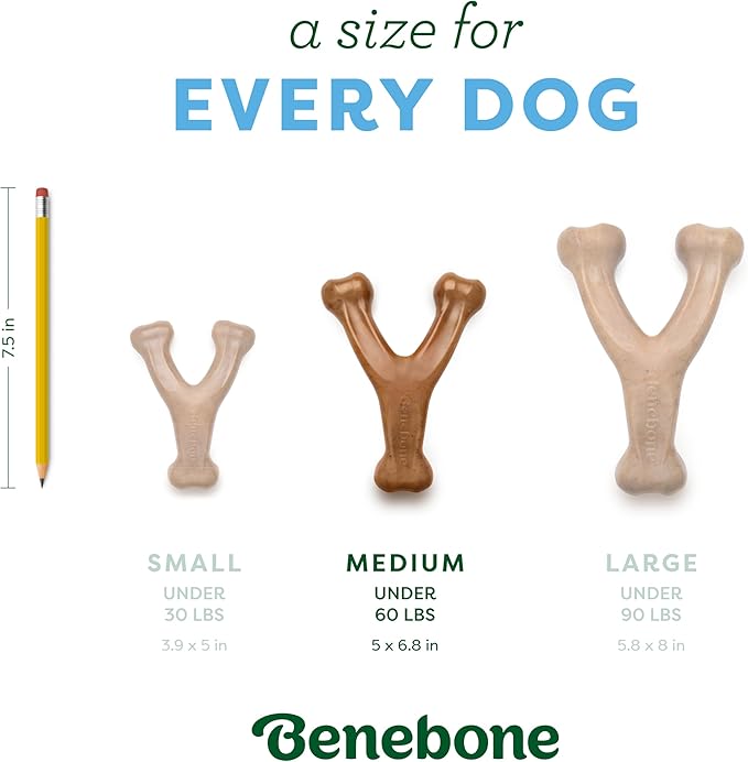 Benebone Wishbone Durable Dog Chew Toy for Aggressive Chewers, Duck, Made in USA, Medium