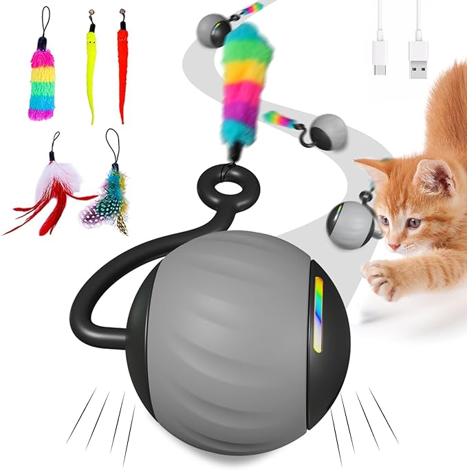 Interactive Cat Toys for Indoor Cats, DIY 5 in 1 Automatic Moving Cat Ball Toys/Puppies Toys with LED Rainbow Lights, Smart Sounds&Touch Control Cat Toys,USB Rechargeable (Grey)