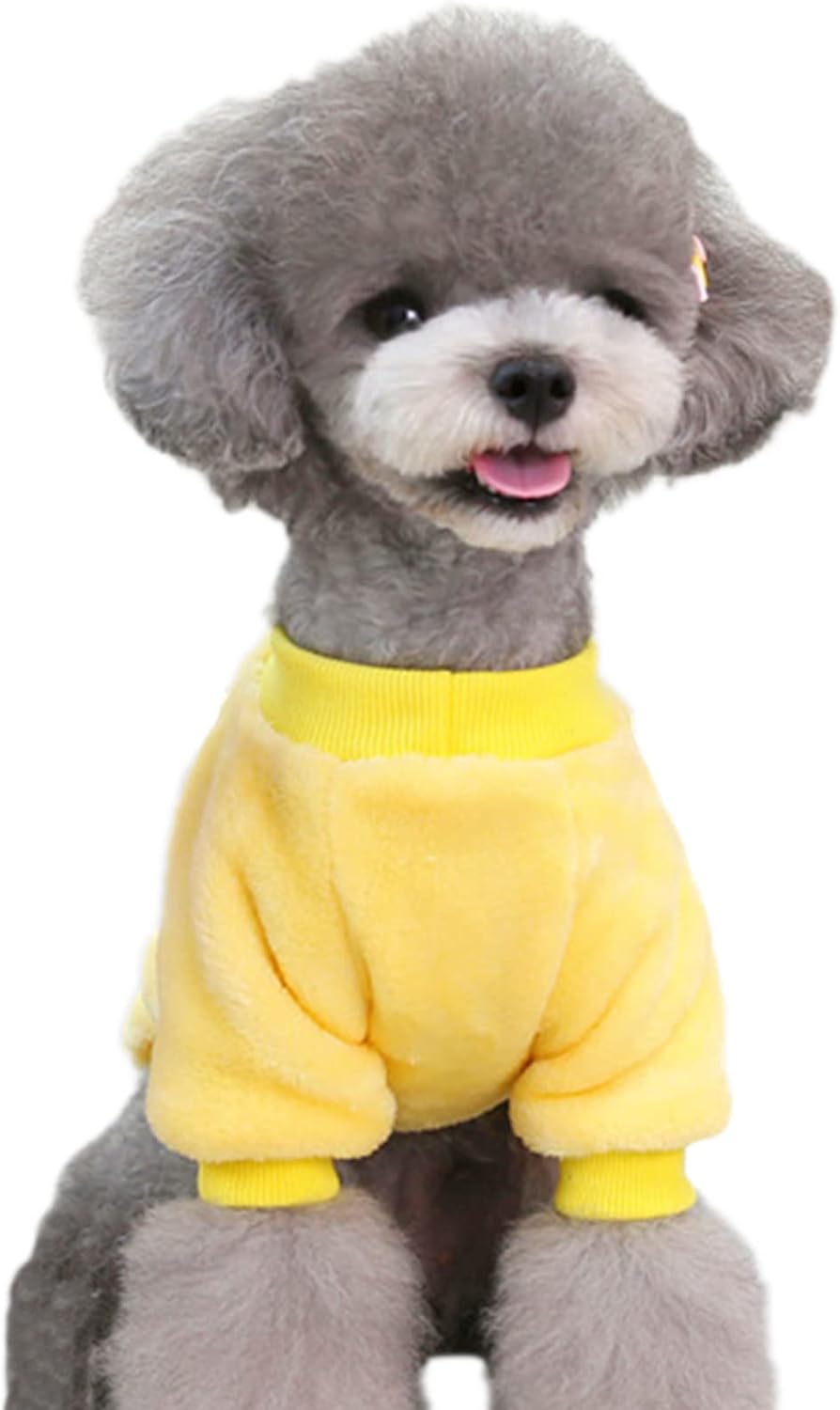 Jecikelon Pet Dog Clothes Dog Sweater Soft Thickening Warm Pup Dogs Shirt Winter Puppy Sweater for Dogs (Z01-Yellow, XX-Small)