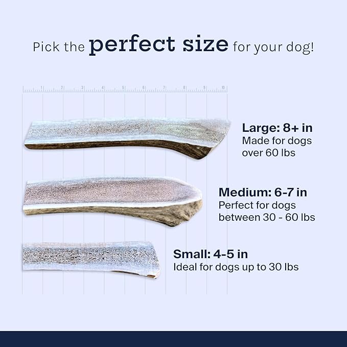 Good Trouble Premium Elk Antlers for Large Dogs – 1 Pack Split - All-Natural, Shed Antler Chews for Dental Health & Calming - Durable Dog Bones - Cruelty-Free, North American Sourced