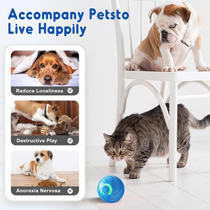 2PCS Dog Ball, 2025 Upgrade Vibrating Dog Ball Interactive Pet Balls Shaky Toy, USB Rechargeable Smart Shaking Pet Bounce Balls Automatic Moving Pet Toy for All Dogs (#A1)