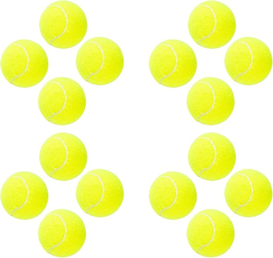 PTLSY Easy Catch Dog Tennis Balls - 16 Pack, Standard Size (2.5 inch) for Medium & Small Dogs