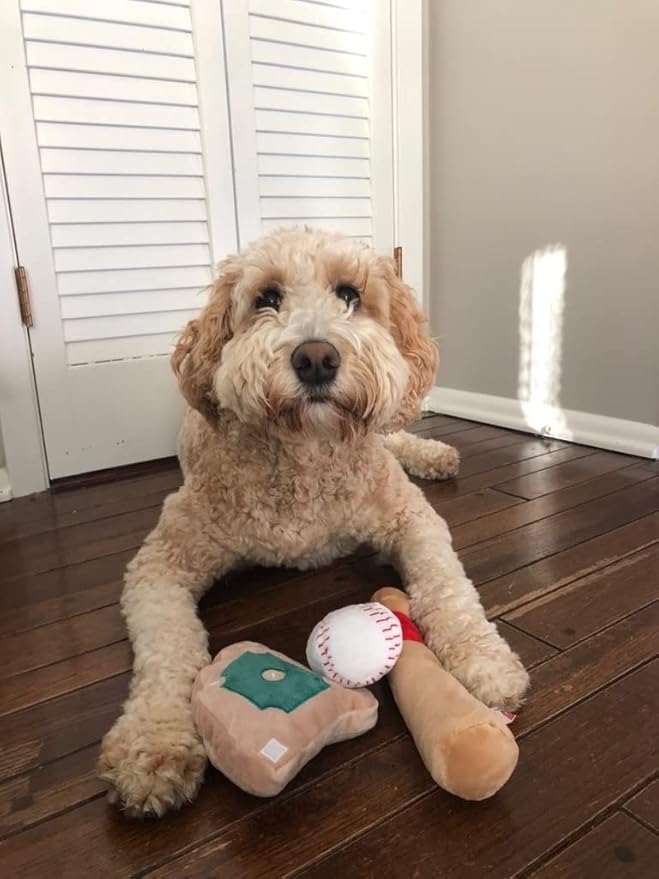 TONBO Cute Plush Dog Toys (Ball Park Combo)