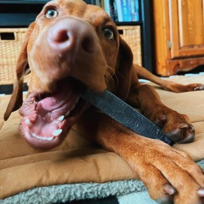 Bully Bunches Premium Fruit-Flavored Himalayan Yak Chew for Dogs - 100g, All-Natural, Long-Lasting, Authentic Yak Milk, Healthy Dental Chew, High-Protein (Medium Assorted - 4PK, Assorted)