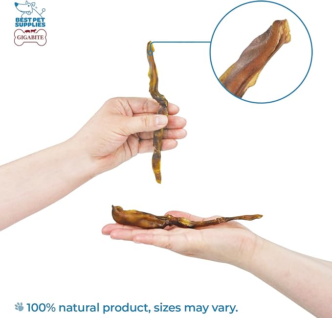 GigaBite Roasted Pig Ears for Dogs, Natural and Healthy Chews, Treats in Whole, Slices, or Sticks, Safe for Puppies and Aggressive Chewers, Clean Teeth and Gums - 2.2 pounds