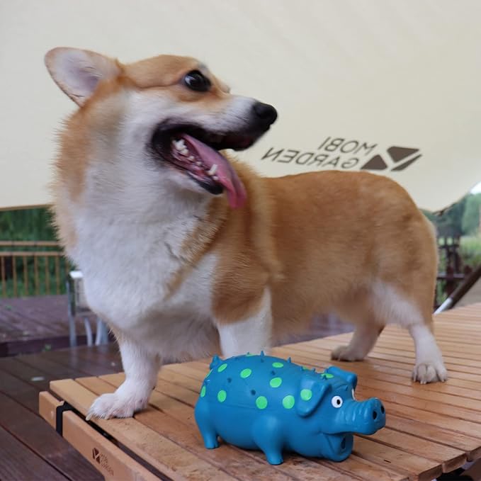 Pig Squeaky Dog Toy, 2 PCS Interactive Rubber Dog Chew Toy - Durable Latex Spot Grunting Pig Toys That Oink for Small Medium Large Dogs (Orange, Blue)