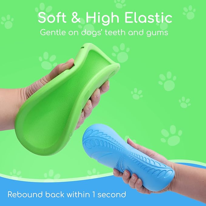 Nobleza 2 Pack Dog Flying Disc, Flexible Floatable Dog Disc Toy for Long-Distance Flies and Floats, Lightweight Soft Flying Discs Toy for Small Medium Large Dogs to Fetch & Catch, Blue & Green