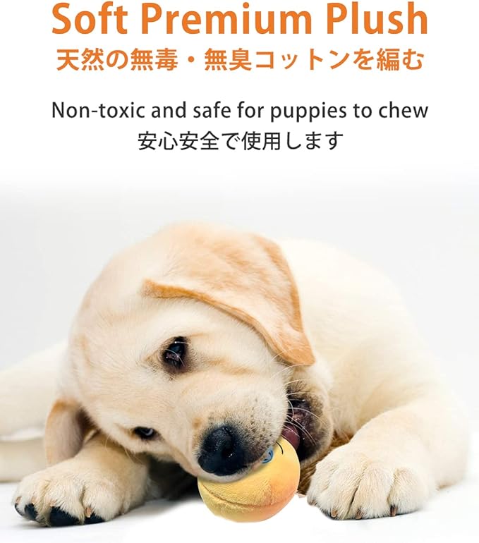 Squeaky Dog Toys, [6 Pack] Soft Stuffed Plush Balls with Squeakers, Interactive Fetch Play for Puppy Small Pets