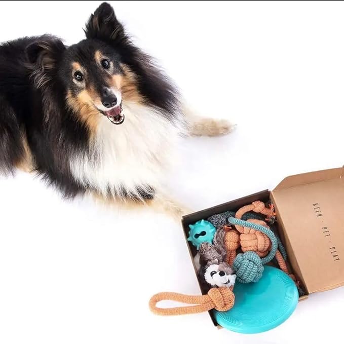 Birthday & Fun Box – Premium Dog Toy Gift Set for Puppies & Active Dogs