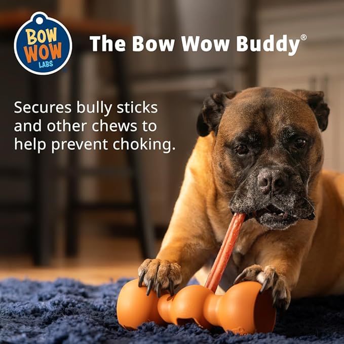 Bow Wow Labs Buddy Safety Device | Newly Redesigned Bully Stick Holder for Dogs | Made in The USA | Dishwasher Safe (S)