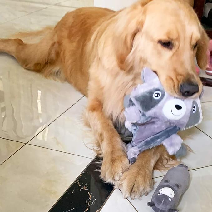 Jalousie Multipack Dog Squeaky Toys Strong Almost Indestructible, with Added Liner for Longer Play Dog Chew Toys (3 Pack - XLarge)