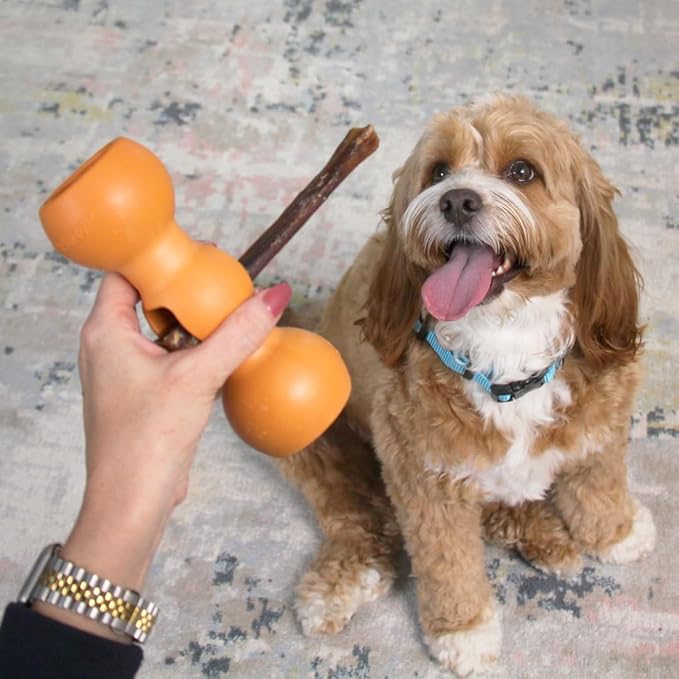 Bow Wow Labs Buddy Safety Device | Newly Redesigned Bully Stick Holder for Dogs | Made in The USA | Dishwasher Safe (S)