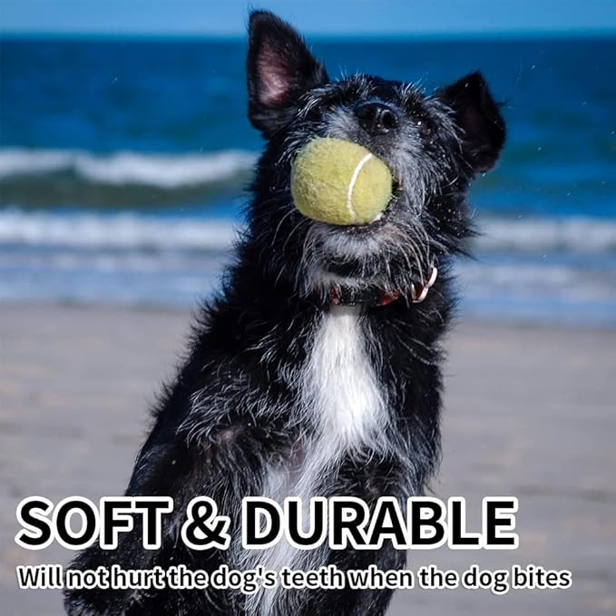 PTLSY Easy Catch Dog Tennis Balls - 16 Pack, Standard Size (2.5 inch) for Medium & Small Dogs