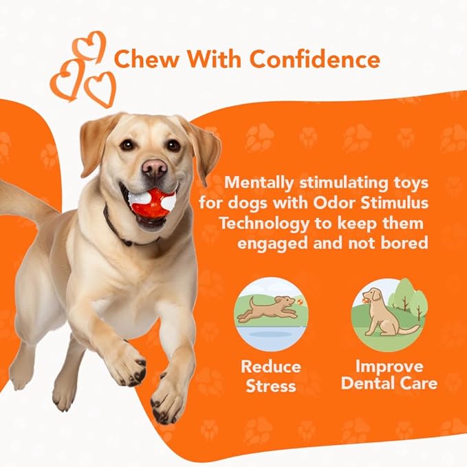 Chew Ball for Dogs, Bacon Scented Durable Dog Ball Toy, Long-Lasting & Tough Balls for Oral Health, Odor Stimulating Dog Toys for Aggressive Chewers