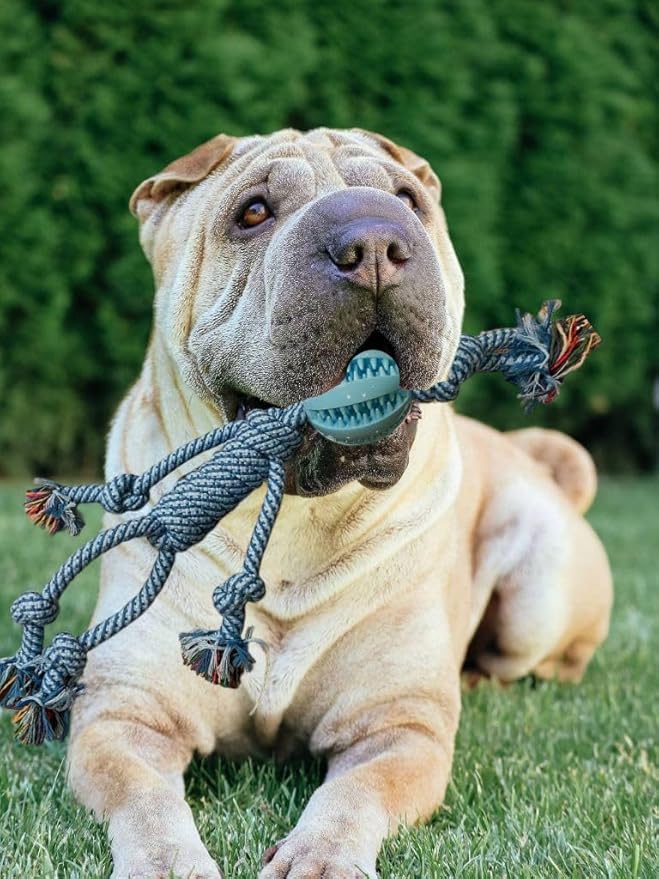 FeFix Dog Toys for Aggressive Chewers Tough Rope Chew Toys for Large and Medium Dog 17.7 inches Cotton Rope for Large Breed Dog Tug of War Dog Toy Teeth Cleaning