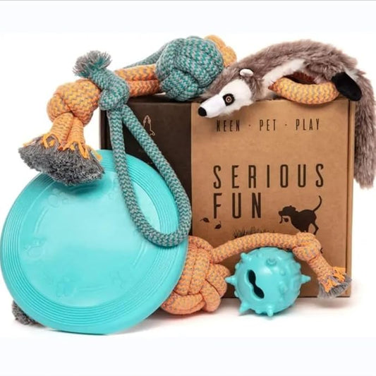 Birthday & Fun Box – Premium Dog Toy Gift Set for Puppies & Active Dogs