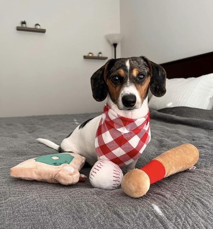 TONBO Cute Plush Dog Toys (Ball Park Combo)