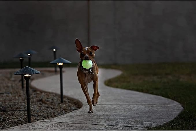 Jolly Pets Orange Jolly Jumper Ball Dog Toy 3 in