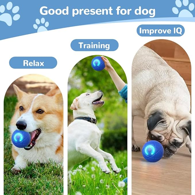 2PCS Dog Ball, 2025 Upgrade Vibrating Dog Ball Interactive Pet Balls Shaky Toy, USB Rechargeable Smart Shaking Pet Bounce Balls Automatic Moving Pet Toy for All Dogs (#B2)