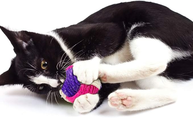 6Pcs Cat Toy Sisal Ball Pet Scratching Ball Chew Eco-Friendly Toy Pets Interactive Toy Bite and Wear Resistant(Random Color)