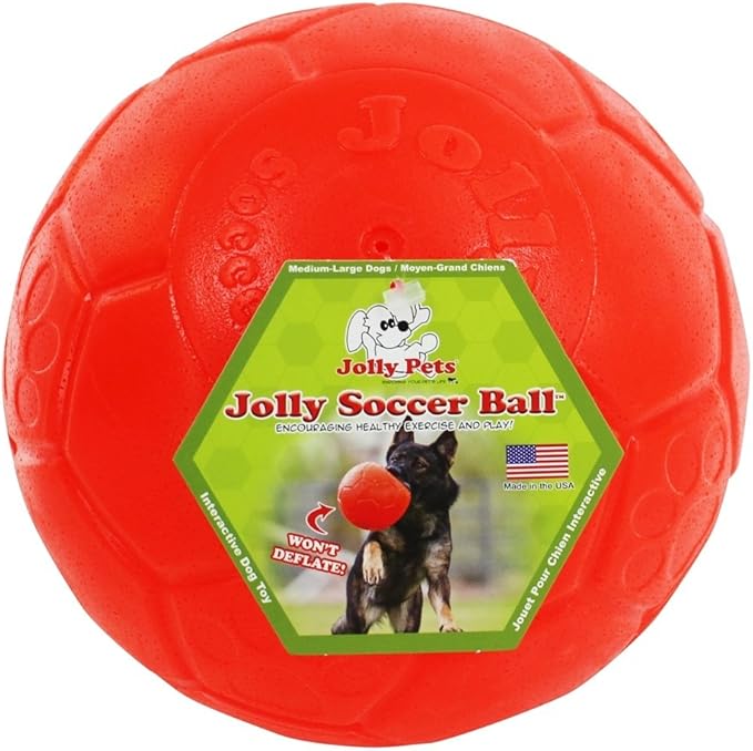 Jolly Pets Jolly Soccer Ball Dog Toy 8in,All Breed Sizes