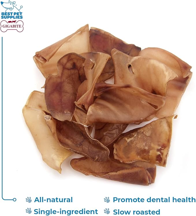 Best Pet Supplies GigaBite Roasted Pig Ears for Dogs - Natural Dog Chews, Roasted Pigs Ears, Safe for Puppies and Aggressive Chewers, Cleans Teeth and Gums - Pack of 80