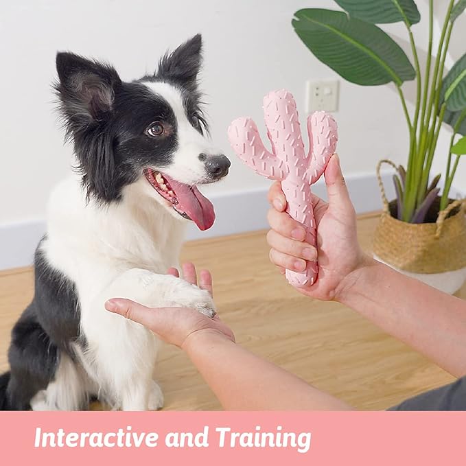 MewaJump Dog Chew Toys, Tough Rubber Dog Toys for Aggressive Chewers, Cactus Dog Toy for Training and Cleaning Teeth, Pink Cute Dog Toys for Medium/Large Dog
