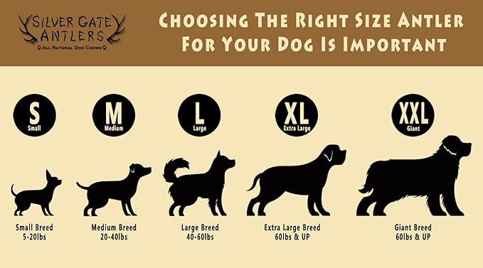 Elk Antlers for Dogs - X Large (XL) 7 to 8 Inch Antler Dog Chew, Whole - USA Made All Natural Elk Dog Chews - Long Lasting Durable Chew Toys for Aggressive Chewers