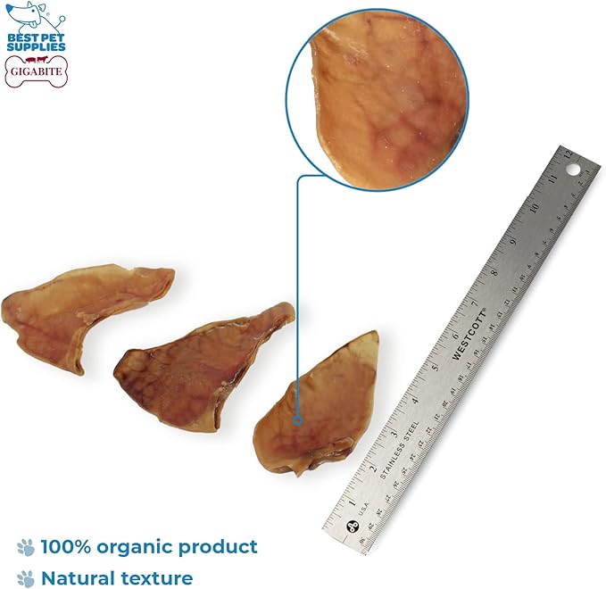Best Pet Supplies GigaBite Roasted Pig Ears for Dogs - Natural Dog Chews, Roasted Pigs Ears, Safe for Puppies and Aggressive Chewers, Cleans Teeth and Gums - Pack of 12