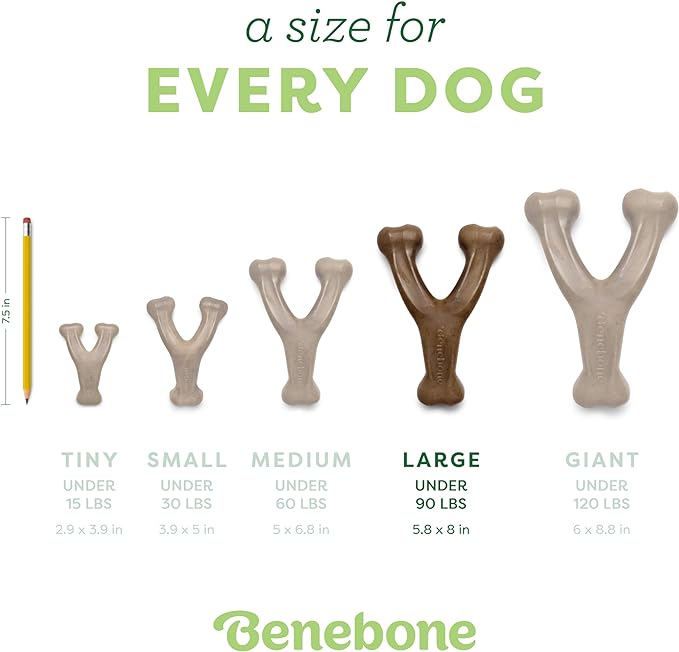 Benebone Large 3-Pack, Wishbone Durable Dog Chew Toy for Aggressive Chewers, Real Bacon, Chicken, Peanut Butter, Made in USA, Variety Pack