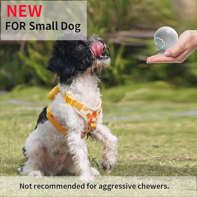 Smart Interactive Dog Toys Ball, Auto Bouncing Rotating Ball, Moving Pet Toys for Small Dogs Under 20 lbs - 2.2 Inch Puppy Toy for Indoor/Outdoor Play, USB Rechargeable, Fun Gift for Boredom, Gray