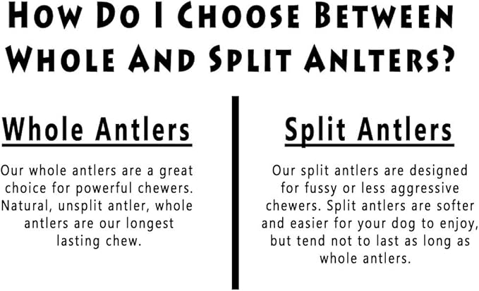 Elk Antlers for Dogs - X Large (XL) 7 to 8 Inch Antler Dog Chew, Whole - USA Made All Natural Elk Dog Chews - Long Lasting Durable Chew Toys for Aggressive Chewers