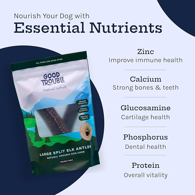 Good Trouble Premium Elk Antlers for Large Dogs – 1 Pack Whole - Shed Antler Chews for Dental Health & Calming - Durable Dog Bones for Aggressive Chewers - Cruelty-Free, North American Sourced
