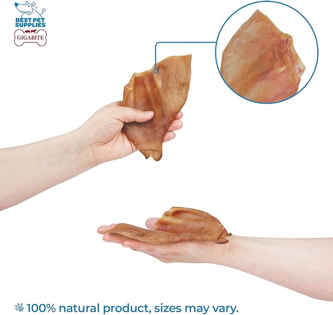 Best Pet Supplies GigaBite Roasted Pig Ears for Dogs - Natural Dog Chews, Roasted Pigs Ears, Safe for Puppies and Aggressive Chewers, Cleans Teeth and Gums - Pack of 40
