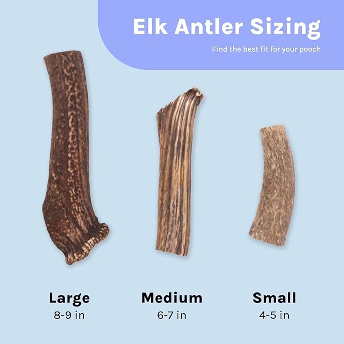 Good Trouble Premium Elk Antlers for Medium Dogs – 2 Pack Whole - All-Natural, Shed Antler Chews for Dental Health & Calming - Durable Dog Bones - Cruelty-Free, North American Sourced