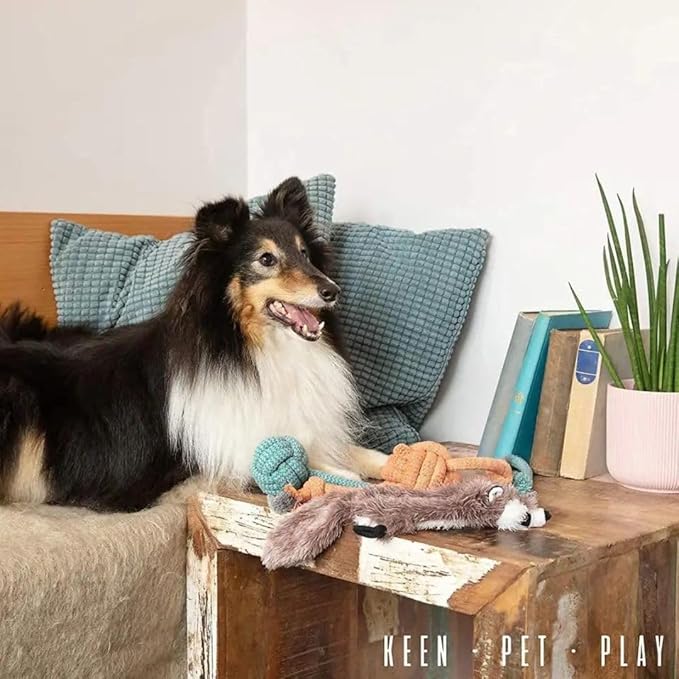 Birthday & Fun Box – Premium Dog Toy Gift Set for Puppies & Active Dogs