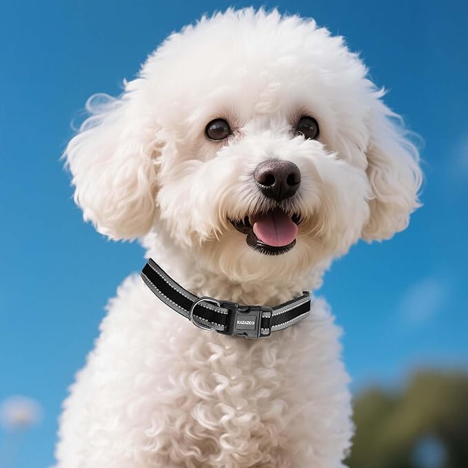 Reflective Dog Collar with Soft Padding Dog Collar for Medium & Small Dogs, No Pull, Heavy Duty, Adjustable Nylon Collar with Quick-Release Buckle, Walking Training-Black-XS