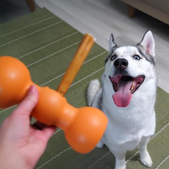 Bow Wow Labs Buddy Safety Device | Newly Redesigned Bully Stick Holder for Dogs | Made in The USA | Dishwasher Safe (L)