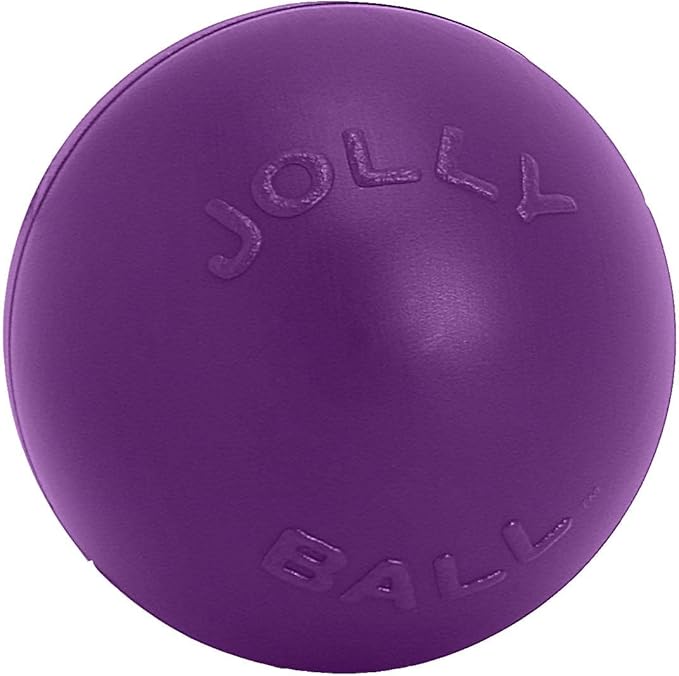 Jolly Pets Push-n-Play Ball Dog Toy, 14 Inches/Extra-Large, Purple,All Breed Sizes